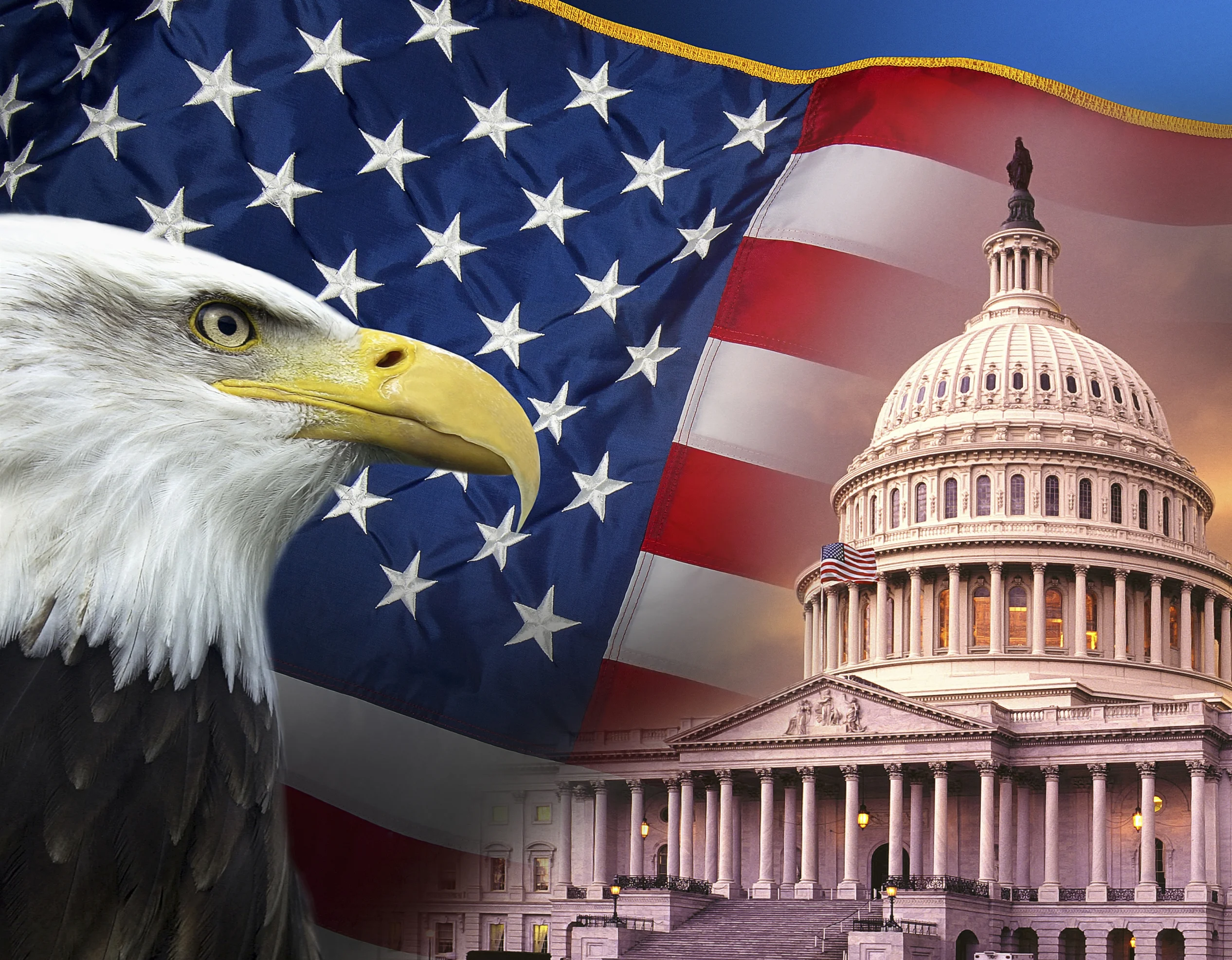 Unity For Liberty