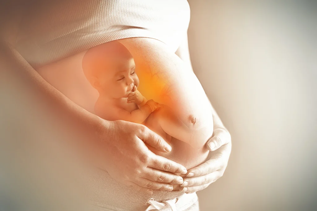 Sanctity of Life
