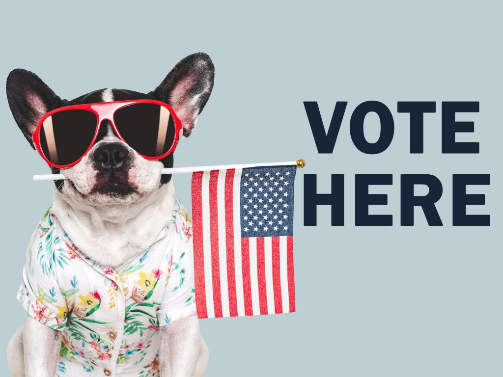 Vote Here